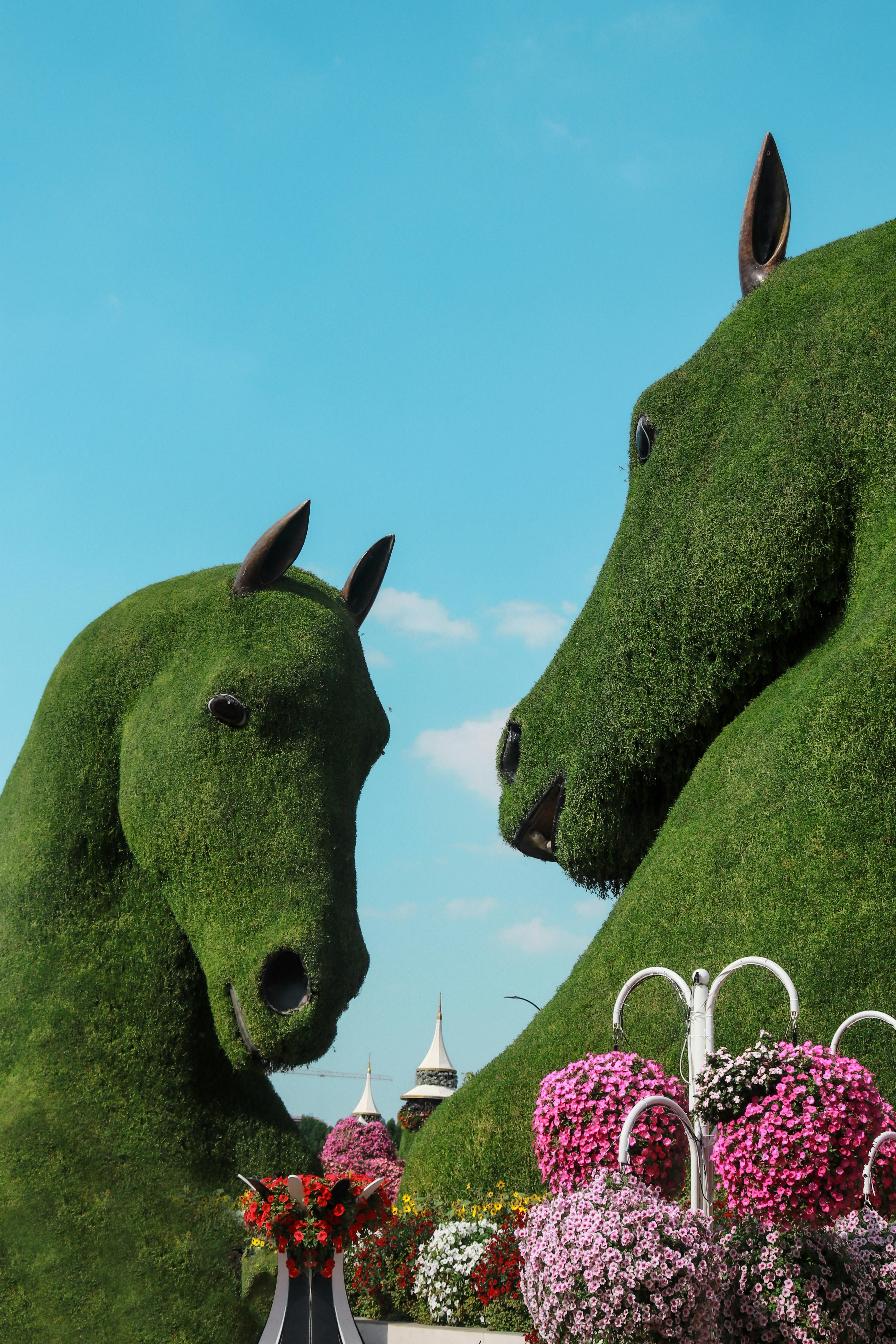 ANTALYA ÇIKIŞLI DUBAİ TURU